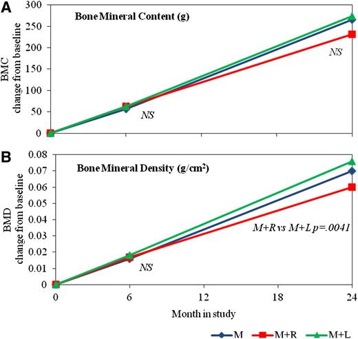 Figure 2. LSmean change from baseline for BMC (g) (A) and BMD (g/cm2) (B) at 6 and 24 months, by treatment. Treatment groups are denoted by M, M+R, and M+L. LSmeans and P values are output from an analysis modeling BMC and BMD change from baseline (6–0 and 24–0) as a function of baseline value, treatment, period (0–6 or 0–24 months), height, and age at the time of visit, and the interaction of treatment by period. Significant treatment group differences for the 6- and 24-month change from baseline are indicated within the figure (nonsignificant differences are indicated by NS).