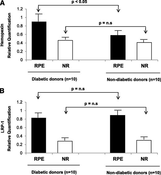 Figure 1. A: Real-time quantitative RT-PCR analysis of hemopexin in RPE and neuroretina (NR) from diabetic donors and nondiabetic donors. B: Real-time quantitative RT-PCR analysis of LRP1 in RPE and neuroretina from diabetic donors and nondiabetic donors. Hemopexin and LRP1 gene expression data (ΔΔCt) were calculated after normalizing by β-actin. Results are presented as means ± SD.