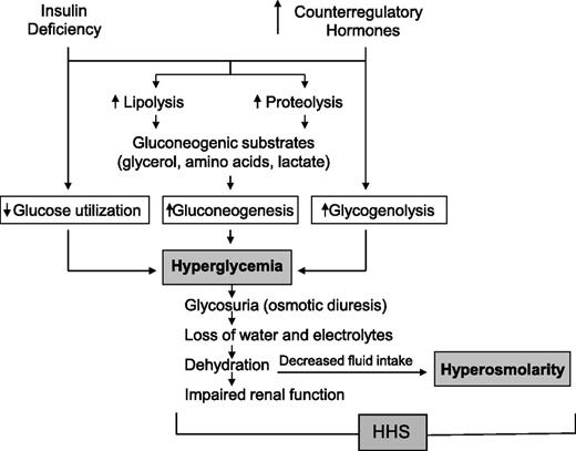 Figure 1. Pathogenesis of HHS.