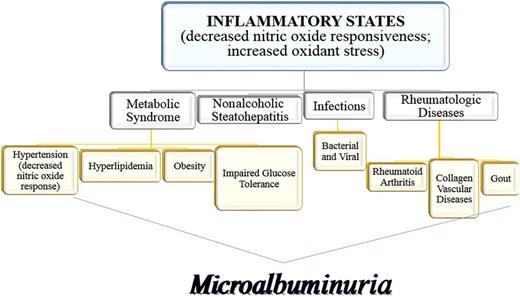 Figure 2. The disease spectrum of MA and its role as an indicator of inflammation. (A high-quality color representation of this figure is available in the online issue.)