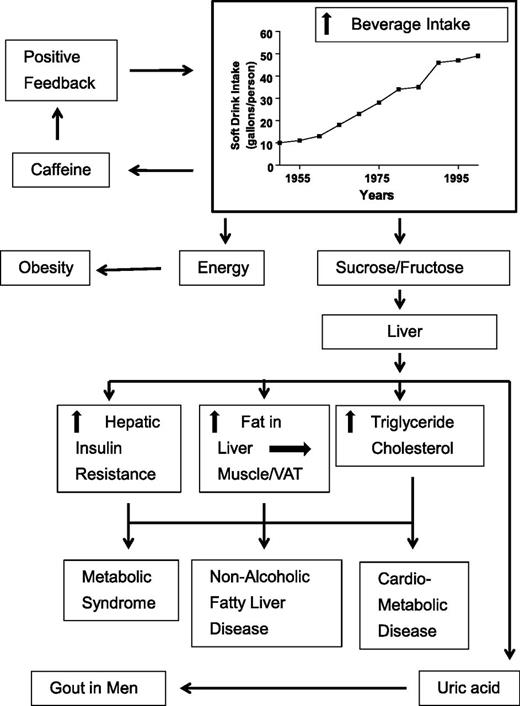 Figure 2. Model showing some potential consequences of increasing fructose and energy intake from sugar or HFCS in beverages. VAT, visceral adipose tissue.