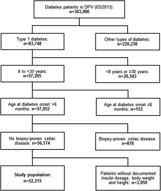 Figure 1. Flowchart for the selection of study population. Only T1DM patients aged 8 to <30 years, with age at diabetes onset >6 months, with no biopsy-proven celiac disease, and with documented insulin dosage, body weight, and height were included in the analysis.