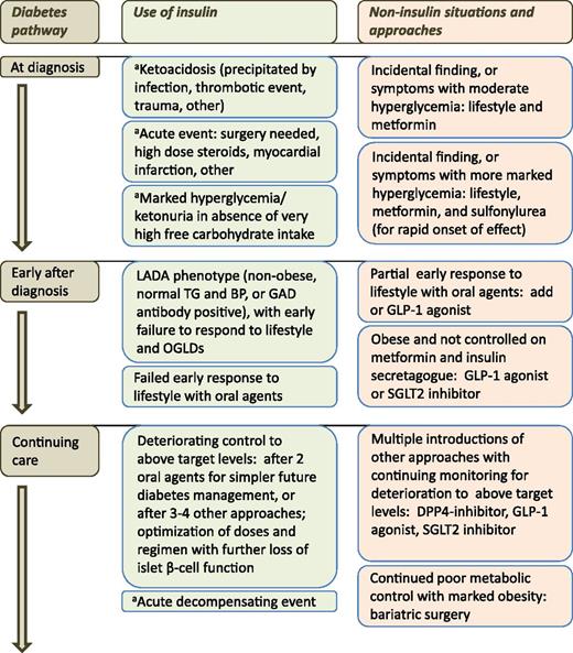 Figure 1. Summary of the use of insulin and other glucose-lowering approaches over the course of time in a person with type 2 diabetes. ause of insulin may be temporary. BP, blood pressure; OGLDs, oral glucose-lowering drugs; TG, triglyceride.