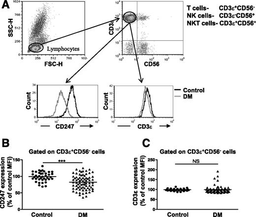 Figure 1. Decreased CD247 expression in T cells isolated from whole blood of diabetic vs. healthy control subjects. CD247 and CD3ε expression levels in T cells were analyzed by flow cytometry gating on the CD3ε+CD56− cells within the lymphocyte fraction (A). Only the expression level of CD247 (B) but not of CD3ε (C) was significantly reduced in diabetic (DM) vs. healthy control subjects (control). P < 0.0001 and P = 0.462, respectively. NS, not significant; MFI, mean fluorescence intensity.