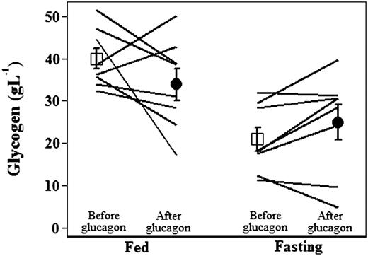 Figure 2. Estimated individual and group mean glycogen stores with SEM before (white squares) and after (black circles) glucagon administration in subjects with type 1 diabetes, under fed and fasting conditions (n = 8). Liver glycogen stores after eight doses of glucagon were similar to baseline levels.
