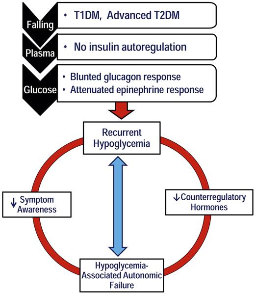 Figure 1. Schematic representation of the concept of HAAF. Adapted with permission from Awoniyi et al. (34). T1DM, type 1 diabetes mellitus; T2DM, type 2 diabetes mellitus.