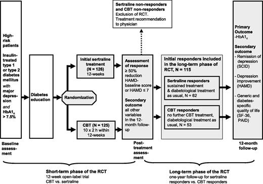 Figure 1. Design of the DAD study. RCT, randomized controlled trial.