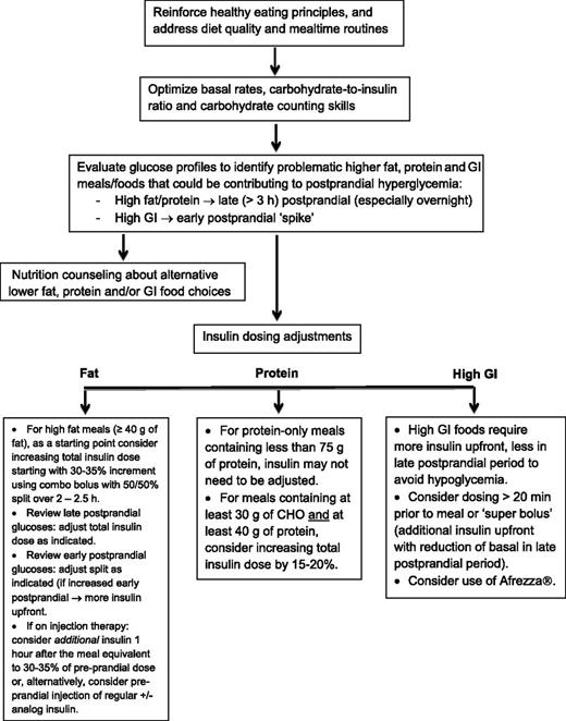 Effects of protein intake on glucagon, insulin, and glucose dynamics ...