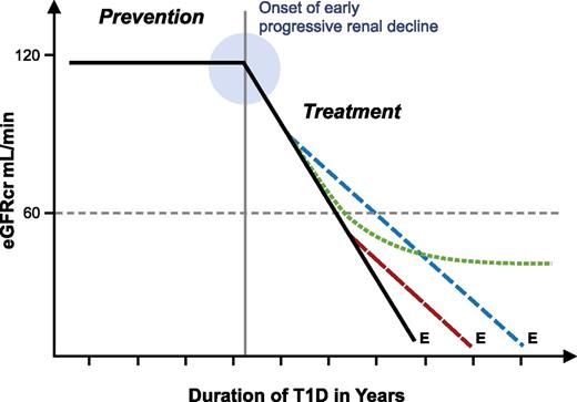Figure 8. Schematic representation of progressive renal decline, the major feature of diabetic nephropathy, and possible modifications of it by interventions to reduce the risk of ESRD. Effective prevention postpones onset of early progressive renal decline (as described by de Boer et al. [50]) and does not alter the linear trajectory after onset. Effective treatment of patients after onset of progressive decline delays onset of ESRD by an interval depending on the time of intervention (broken vs. dashed line). Effective treatment may be followed by a lag interval (as described by Skupien et al. [22]) before deceleration becomes evident (dotted line). E indicates the date of ESRD diagnosis.