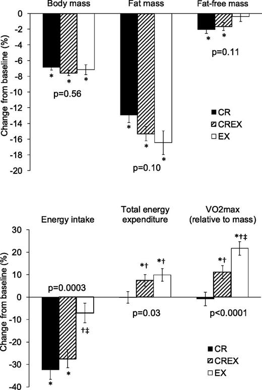 Figure 1. Body weight and composition changes (top panel) and measures of intervention compliance (bottom panel). Values are reported as the least squares mean ± SE from ANCOVAs in which the change in the outcome was the dependent variable, study group was the independent variable, and baseline values were the covariate. P values reflect the significance of the overall ANCOVA. When overall ANCOVAs were significant at P ≤ 0.05, post hoc paired comparisons were performed according to the principle of protected F tests and least significant difference tests. *P ≤ 0.05 vs. zero (significance of within-group change). †P ≤ 0.05 vs. CR group. ‡P ≤ 0.05 vs. CREX group.