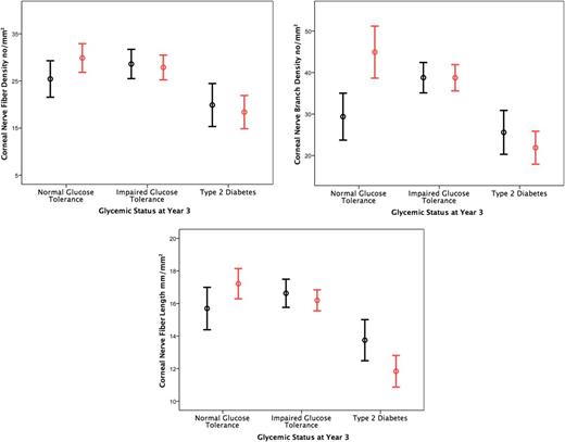 Figure 2. Change in corneal nerve fiber morphological parameters in subjects at baseline (black) and 36 months (red).