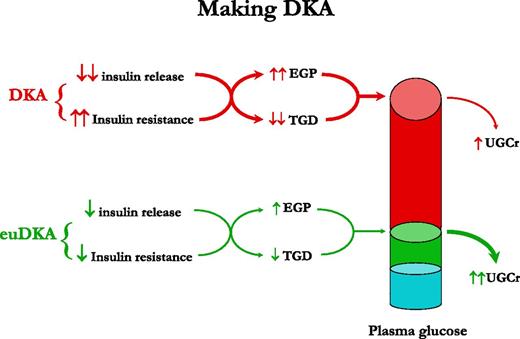 Figure 1. Essential pathophysiology of DKA and euDKA consequent of the use of SGLT2 inhibitors. TGD, tissue glucose disposal; UGCr, urinary glucose clearance rate.