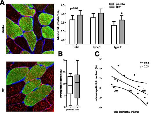 Figure 2. Effect of resveratrol (RSV) on ectopic lipid storage. A: Muscle biopsy sections from a representative study participant, stained for IMCL with Oil Red O staining (in red), muscle laminin (in blue), and type 1 muscle fibers (in green). IMCL content is quantified as the percentage area of a muscle fiber that is covered by lipids (n = 17). B: IHL content quantified by 1H-MRS after 29 days of resveratrol and placebo supplementation (n = 10). C: ∆IHL in relation to total plasma resveratrol concentration (n = 10). Data are presented as means ± SEM. Box plot represents minimum, first quartile, median, third quartile, and maximum. *P < 0.05.