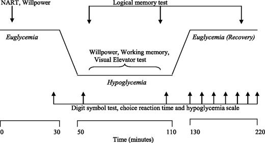 Figure 1. Outline of study design showing timing of cognitive tests in relation to blood glucose concentration.