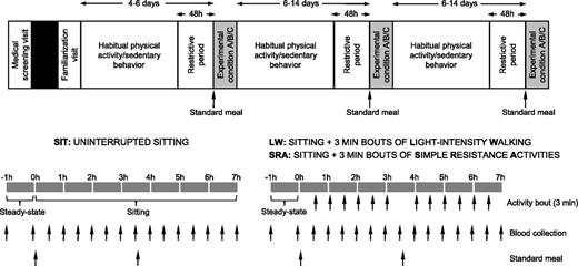 Figure 1. Study design and protocol for treatment conditions. Participants visited the laboratory on five separate occasions. The 3 trial conditions were completed in a randomized order separated by a 6- to 14-day washout. Blood was collected half-hourly, 2 min prior to each activity bout. Each standardized meal (mean ± SD 822.9 ± 124.3 kcal/meal) constituted 33% of participants’ daily estimated energy requirements (Schofield equation [15], physical activity factor 1.5) with a target macronutrient profile of 55–58% energy from carbohydrate, 12–15% energy from protein, and 29–31% energy from fat.