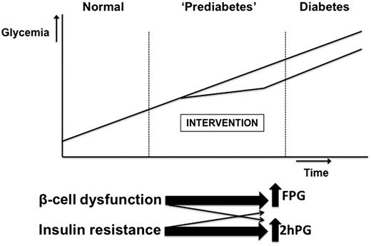 Figure 1. Trends in glycemia with time and the effects of lifestyle interventions. These interventions target insulin resistance and are likely to be less effective in subjects with elevated concentrations of FPG. 2hPG, 2-h plasma glucose.