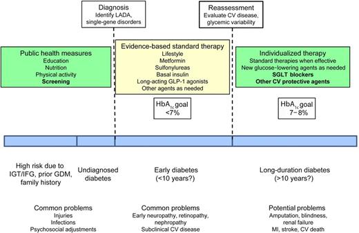 Figure 2. Schematic depiction of three stages of the natural history of T2D, noting several opportunities for improvement of management. During the period before diagnosis, risk factors for developing diabetes call for systematic screening to reduce the interval between onset and diagnosis, thereby reducing an untreated interval of hyperglycemia. At diagnosis, specific subtypes of diabetes may be identified. During the early stages of T2D, evidence-based standard treatment algorithms may be effective in controlling glucose and reducing later complications. At some point in each individual’s experience, often close to 10 years after diagnosis, more individualized therapy is likely to be needed, including consideration of newer therapeutic agents with nonglycemic effects that reduce the risk of CV events. GDM, gestational diabetes mellitus; IFG, impaired fasting glucose; IGT, impaired glucose tolerance; LADA, latent autoimmune diabetes in adults.