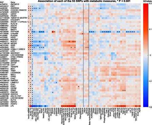 Figure 1. Heat map of the 53 SNPs and their associations with 58 circulating biomarkers. The units are reported as an SD difference in metabolic measure per IR-increasing allele. Lipoprotein measures without further specification refer to total lipid concentrations. IR was defined as a triad of higher fasting insulin (BMI adjusted), higher TGs, and lower HDL-C. Metabolic measures were quantified by the high-throughput NMR metabolomics platform using primarily fasting serum samples. Apo, apolipoprotein; DBinFA, the average number of double bonds in fatty acids; DHA, docosahexaenoic acid; FALen, the average fatty acid chain length; IDL, intermediate-density lipoprotein; MUFA, monounsaturated fatty acid; PUFA, polyunsaturated fatty acid; w79S FA, n-7, n-9, and saturated fatty acids.