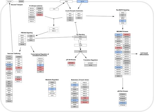 Figure 2. Visualization of selected miRNA targeting events on the insulin signaling pathway (from WikiPathways). The genes targeted by miRNA per pathway, as counted in Supplementary Table 3, are visualized in this figure for selected pathways. Pathway was imported into Cytoscape from WikiPathways, and ID mapping was performed to obtain Entrez Gene identifiers for each gene. An intermediate file from the Pathway Finder tool was parsed and imported into Cytoscape to supply the mappings between Entrez Gene and the selected set of miRNAs. A visual style was defined in Cytoscape to highlight any gene targeted by these miRNAs in preferential order: miR-122 (blue), miR-192 (red), and any of the other 14 possible miRNAs (gray). Other selected pathways from WikiPathways are shown in Supplementary Fig. 1.