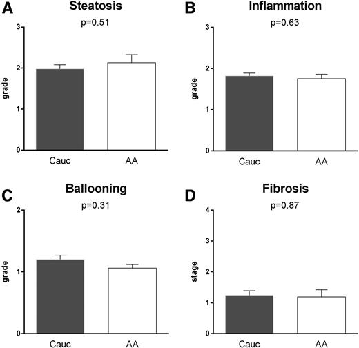 Figure 3. Histologic severity of steatosis (A), inflammation (B), ballooning (C), and fibrosis (D) among patients with NASH based on ethnicity. Data are presented as mean ± SEM. AA, African American; Cauc, Caucasian.