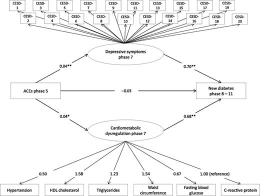 Figure 1. Results of the mediation model for the association between ACEs and the risk of diabetes in adulthood as simultaneously mediated by depressive symptoms and cardiometabolic dysregulations in adulthood. Values are unstandardized probit regression coefficients. A variable presented in a circle represents a latent variable, whereas a variable presented in a rectangle represents an observed variable. The indirect path of ACEs to diabetes via depressive symptoms was statistically significant (0.03 [95% CI 0.02, 0.04], P < 0.001), as was the indirect path of ACEs to diabetes via cardiometabolic dysregulations (0.03 [95% CI 0.01, 0.05], P = 0.03). Model paths control for age and sex. A sensitivity analysis that included a covariance between depressive symptoms and cardiometabolic dysregulations demonstrated poorer model fit than the main model, although interpretation of path coefficients for mediation analysis was similar to that in the main model. *P < 0.05; **P < 0.01.