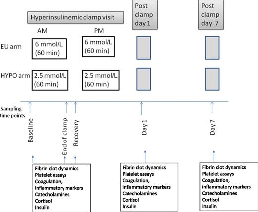 Figure 1. Study design. Each subject with or without type 2 diabetes participated in euglycemic and hypoglycemic clamp visits separated by 4–8 weeks. Euglycemic clamp preceded hypoglycemic clamps. In the euglycemic clamp visit, blood glucose was maintained at 6 mmol/L for 60 min in the morning and 60 min in the afternoon. In the hypoglycemic clamp visit, blood glucose was maintained at 2.5 mmol/L for 60 min in the morning and 60 min in the afternoon. Blood samples for platelet function, clotting assays, coagulation proteins, and counterregulatory hormones were collected at baseline, end of clamp at 60 min, recovery from morning clamp, and the morning of day 1 and day 7 after the euglycemic and hypoglycemic clamp visits, respectively. EU, euglycemic; HYPO, hypoglycemic.