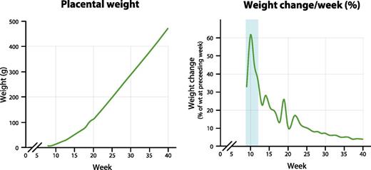 Figure 2. Placental growth throughout pregnancy. Left: Changes in absolute placental weight during pregnancy. Right: Placental growth dynamics shown as weight (wt) change per week. Data on placental weight per gestational week are taken from Benirschke et al. (65) and are based on information provided by Boyd and Hamilton (66) and O’Rahilly (67). Original artwork by biolution GmbH reproduced with permission.