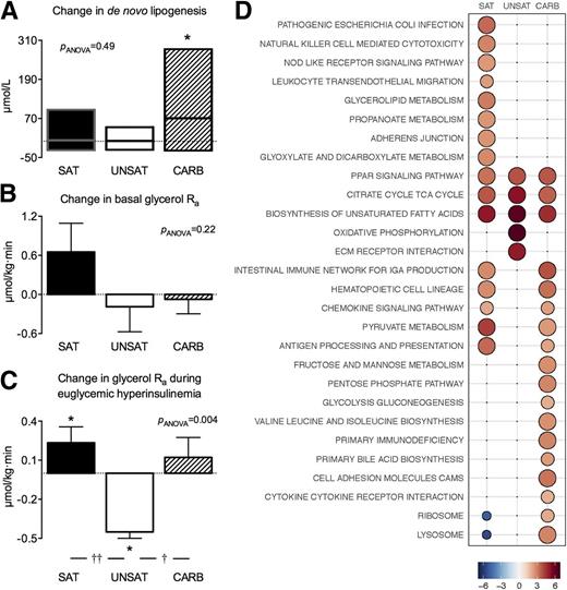 Figure 2. Overfeeding-induced changes in hepatic de novo lipogenesis (A), basal glycerol Ra (B), and glycerol Ra (C) during euglycemic hyperinsulinemia. The y-axes indicate the change of mean values after vs. before overfeeding within groups. Data are shown as medians (interquartile ranges) in panel A and as mean ± SEM in B and C. *P < 0.05 within group; †P < 0.05 and ††P < 0.01 between groups. D: Adipose tissue transcriptome. The bubble grid shows the reporter test statistics (proportional to size and color intensity) of relative gene expression after compared with before overfeeding. Only pathways significant in at least one diet are shown (<5% false discovery rate).