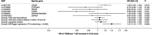 Figure 3. Association between S-Ca levels and T2DM in MR analysis. IVW, inverse variance weighted.