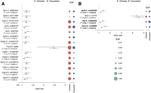 Figure 1. Frequencies and effect sizes of reported variants showed both similarities and differences between Caucasian and Chinese Han populations. A: Comparison of frequencies and effect sizes for the 14 validated variants between Caucasians and Chinese Han. B: Comparison for the four identified variants in the current study between Caucasians and Chinese Han. The effect sizes of Caucasians were collected from the GWAS Catalog (https://www.ebi.ac.uk/gwas/). For variants without CIs in GWAS Catalog and the original publications, the effects were obtained from the WTCCC. All the effect sizes and frequencies were calculated with the nonrisk allele as reference.