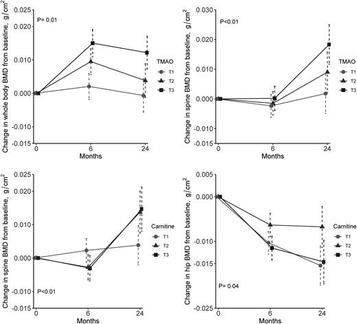 Figure 1. Trajectories of changes in BMD in response to initial changes in plasma TMAO and l-carnitine. Data were adjusted for age, sex, race, diet groups, BMI, concurrent weight change, physical activity, value for the respective outcome traits at the baseline, and value for the respective metabolites (TMAO or l-carnitine) at baseline. P values were tested for the interaction between change in TMAO and l-carnitine and intervention time by using linear mixed models. T1, T2, and T3 refer to tertiles of changes in TMAO or l-carnitine. The lowest tertile (T1) represents the largest reduction from baseline to 6 months.