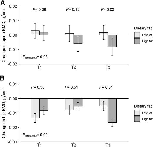 Figure 2. Effect of l-carnitine changes and fat diets on changes in the spine and hip BMD during the intervention. Values were expressed as adjusted least square means ± SE for changes in BMD. P values were adjusted for age, sex, race, baseline BMI, concurrent weight change, physical activity, and baseline values for respective outcome traits. T1, T2, and T3 refer to tertiles of l-carnitine changes. The lowest tertile (T1) represents the largest reduction from baseline to 6 months. For A and B, in the low-fat group, T1, n = 44; T2, n = 31; and T3, n = 40. In the high-fat group, T1, n = 43; T2, n = 38; and T3, n = 32.