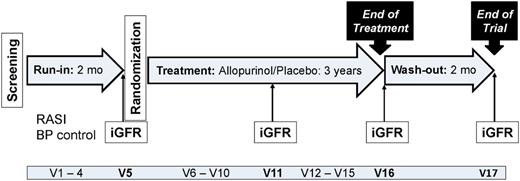 Figure 1. PERL study design. BP, blood pressure; mo, months; V, visit.