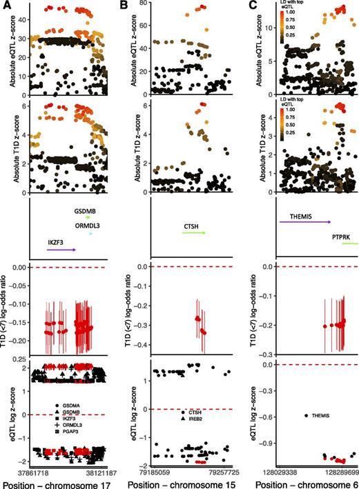 Figure 3. Results from colocalization and fine mapping in the IKZF3 region (A), CTSH region (B), and THEMIS region (C). Analyses include individuals from the U.K. and Northern Ireland and only control and case subjects diagnosed at <7 years. The first panel shows the association absolute z scores from a whole-blood eQTL study examining variant effects on IKZF3 (A), CTSH (B), and THEMIS (C) mRNA levels, colored by LD r2 to the most strongly associated variant with the respective mRNA expression. The second panel shows the association absolute z scores from logistic regression examining variant associations with type 1 diabetes risk at <7 years, colored by LD r2 to the most strongly associated variant with IKZF3 (A), CTSH (B), and THEMIS (C) mRNA. The third panel shows the gene positions (genome build 37), with arrows indicating direction of transcription. The fourth panel shows univariable early-diagnosed type 1 diabetes log-odds ratios and 95% CIs for the minor allele for each of the most likely causally associated variants as prioritized by GUESSFM. The fifth panel shows the loge(absolute eQTL z score) if z score >0 and −loge(absolute eQTL z score) if z score <0 for the effect of the minor allele, so direction of effect can be compared, including only eQTLs with a P value <5 × 10−150 (A), <5 × 10−50 (B), and <5 × 10−25 (C). The symbols are colored red if contained in the set of most likely causal variants, as produced by GUESSFM, and the shape corresponds to the gene that the variant is affecting transcription of, with the genes shown in the center of the figure. T1D, type 1 diabetes.