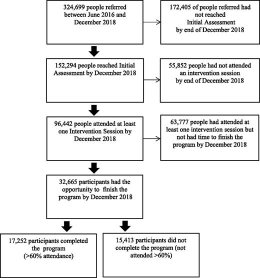Figure 1. Flowchart of participants at each stage in the program.