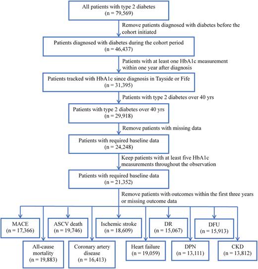 Figure 1. The flow diagram of the patient selection. DPN, diabetic peripheral neuropathy; DR, diabetic retinopathy; MACE, major adverse cardiovascular events.