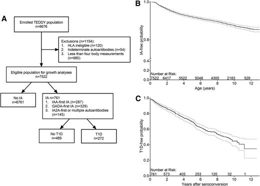 Figure 2. Study cohort. A: Flow chart of the TEDDY cohort and the study cohort. B: Survival curve of the development of IA. C: Survival curve of progression to T1D from initial seroconversion.