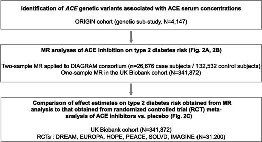 Figure 1. Study overview. MR analysis included independent genetic variants associated with ACE serum concentration in the ORIGIN trial. A two-sample MR analysis applied to the DIAGRAM consortium was used to test for causal association between ACE concentration and type 2 diabetes risk. External validation was performed using a GRS underpinning lower ACE concentration in the UK Biobank. MR estimate was then compared after standardization for blood pressure change, with the estimate obtained from an RCT meta-analysis of ACE inhibitors vs. placebo. EUROPA, EUROpean trial on reduction of cardiac events with Perindopril in stable coronary Artery; HOPE, Heart Outcomes Prevention Evaluation; IMAGINE, Ischemia Management with Accupril post-bypass Graft via INhibition of the converting Enzyme; PEACE, Prevention of Events with Angiotensin-Converting Enzyme inhibition; SOLVD, Study Of Left Ventricular Dysfunction.