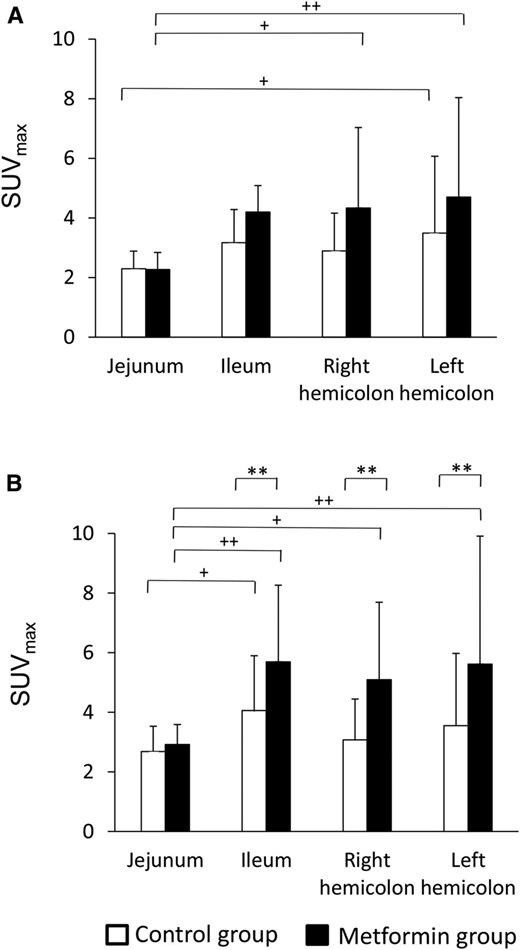 Figure 3. SUVmax for the intestinal wall (A) and intestinal contents (B) for each region of the intestinal tract in the metformin and control groups. Data are means ± SD. **P < 0.01 (Student t test); +P < 0.05, ++P < 0.01 (Tukey-Kramer test).