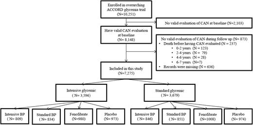 Figure 1. Flow diagram of the study population included in the analysis. Intensive and standard glycemic and BP refer to intensive and standard glycemic and BP interventions.