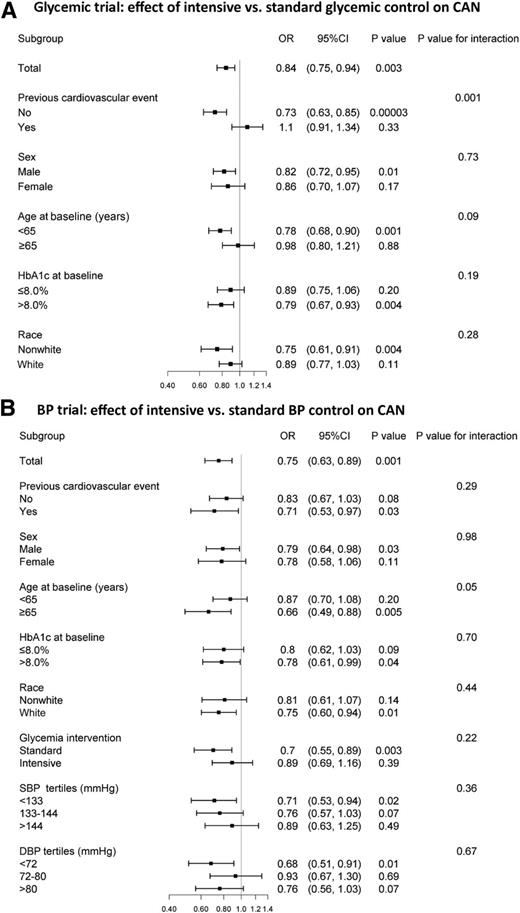 Figure 3. Effects of ACCORD interventions on CAN risk in the subgroups prespecified for the analysis of the ACCORD primary outcome.