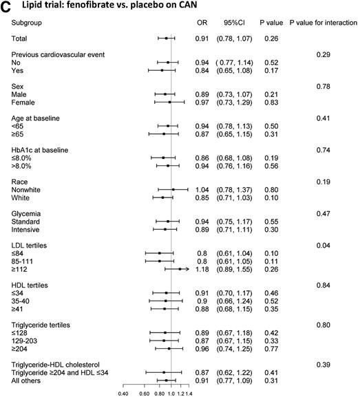 Figure 3. Effects of ACCORD interventions on CAN risk in the subgroups prespecified for the analysis of the ACCORD primary outcome.