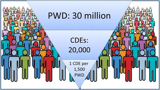 Figure 3. Access to DSMES providers (25,27).