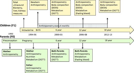 Figure 1. PMNS. Married nonpregnant women were followed up in six villages near Pune, India. Those who became pregnant (singleton fetus <21 weeks) were enrolled during pregnancy. Maternal glucose tolerance was measured at 28 ± 2 weeks’ gestation. Babies (F1 generation) were measured at birth and every 6 months thereafter by detailed anthropometry. Comprehensive measurements of body size and composition and glucose-insulin metabolic function were performed every 6 years in the children until age 18 years and in both parents (F0 generation) when the child was age 6 and 12 years. USG, ultrasonography.