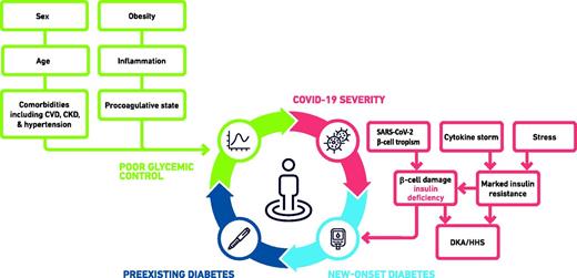 Figure 2. Bidirectional relationship between T2D, hyperglycemia, and COVID-19. CVD, cardiovascular disease; CKD, chronic kidney disease; HHS, hyperosmolar hyperglycemic syndrome.