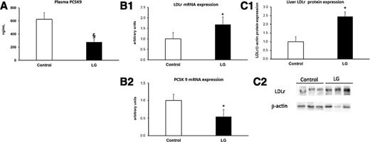 Figure 3. Effect of liraglutide (LG) in diet-induced obese mice on PCSK9 plasma level (A), liver LDLr and PCSK9 mRNA expression (B1 and B2), and liver LDLr protein expression (C1). Western blots of liver for LDLr and β-actin (C2). Diet-induced obese mice were treated for 10 days with either liraglutide (1 mg/kg) or saline (control). Data are mean ± SEM. *P < 0.05; §P < 0.001.