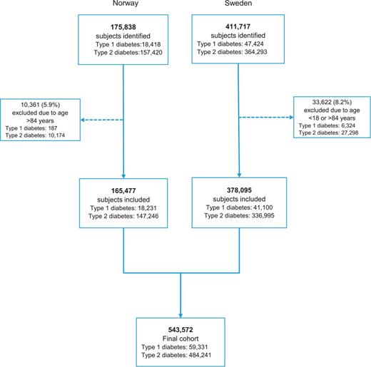 Figure 1. Flowchart of patients included in the study at the index date 31 December 2013.