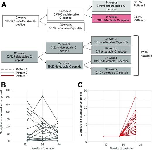 Figure 1. Longitudinal patterns of maternal serum C-peptide change in pregnancy (A and B) with more detail of women in pattern 3 (C). Pattern 1: undetectable maternal serum C-peptide throughout pregnancy. Pattern 2: detectable maternal serum C-peptide at 12 weeks’ gestation. Pattern 3: undetectable maternal serum C-peptide at 12 and 24 weeks, which became detectable at 34 weeks’ gestation.