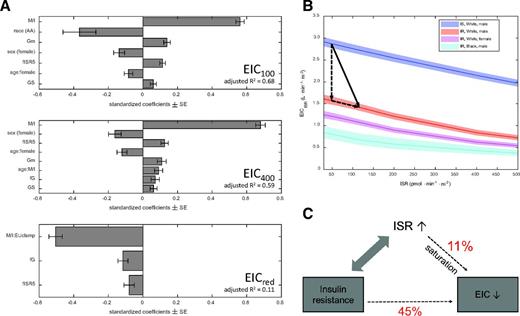 Figure 3. A: Standardized coefficients from the stepwise multivariate linear regression analyses of EIC100, EIC400, and EICred in the EUclamp and the HGclamp/EUclamp studies (see Research Design and Methods for the description of the studies). The coefficients of the categorical variables are not standardized. For all variables, P < 0.01. M/I, fISR5, fG, EIC100, and EIC400 are log-transformed, and EICred is logit-transformed. B: Representation of the main effects shown in A (insulin resistance, race, and sex), together with the modulation of EICISR by ISR. Curves and shaded areas depict EICISR as mean ± SE calculated at ISR levels between 30 and 500 pmol · min−1 · m−2 in four groups of subjects. The solid arrow represents the difference in EICISR between insulin-sensitive and insulin-resistant subjects without diabetes and is decomposed into two components (dashed arrows): the reduction in EICISR associated with insulin resistance (i.e., the effect of M/I) and the reduction in EICISR due to hypersecretion in insulin-resistant subjects. C: Schematic representation of the relationships described in B among insulin resistance, hypersecretion, and EIC. AA, African American; fG, fasting glucose; Gm, mean glucose during the OGTT; IR, insulin-resistant; IS, insulin-sensitive.