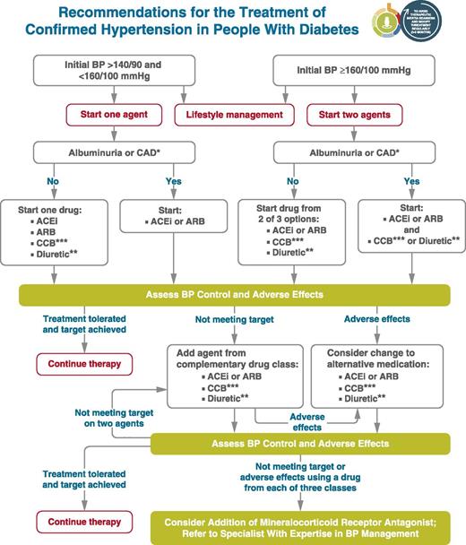 Figure 10.1. Recommendations for the treatment of confirmed hypertension in people with diabetes. *An ACE inhibitor (ACEi) or angiotensin receptor blocker (ARB) is suggested to treat hypertension for patients with coronary artery disease (CAD) or urine albumin-to-creatinine ratio 30–299 mg/g creatinine and strongly recommended for patients with urine albumin-to-creatinine ratio ≥300 mg/g creatinine. **Thiazide-like diuretic; long-acting agents shown to reduce cardiovascular events, such as chlorthalidone and indapamide, are preferred. ***Dihydropyridine calcium channel blocker (CCB). BP, blood pressure. Adapted from de Boer et al. (17).